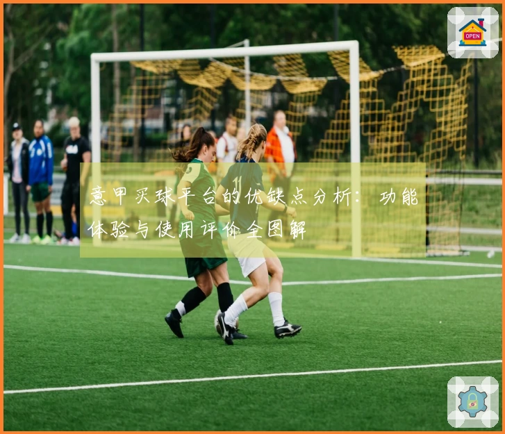 意甲买球平台的优缺点分析:功能体验与使用评价全图解