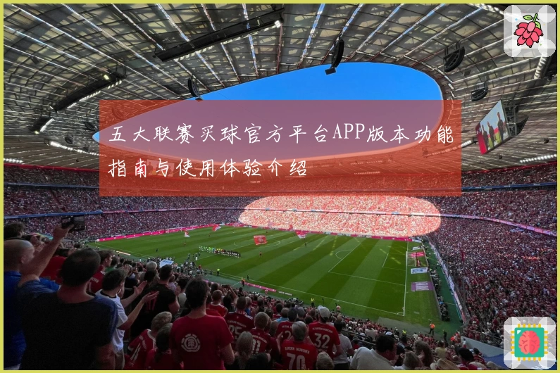 五大联赛买球官方平台APP版本功能指南与使用体验介绍